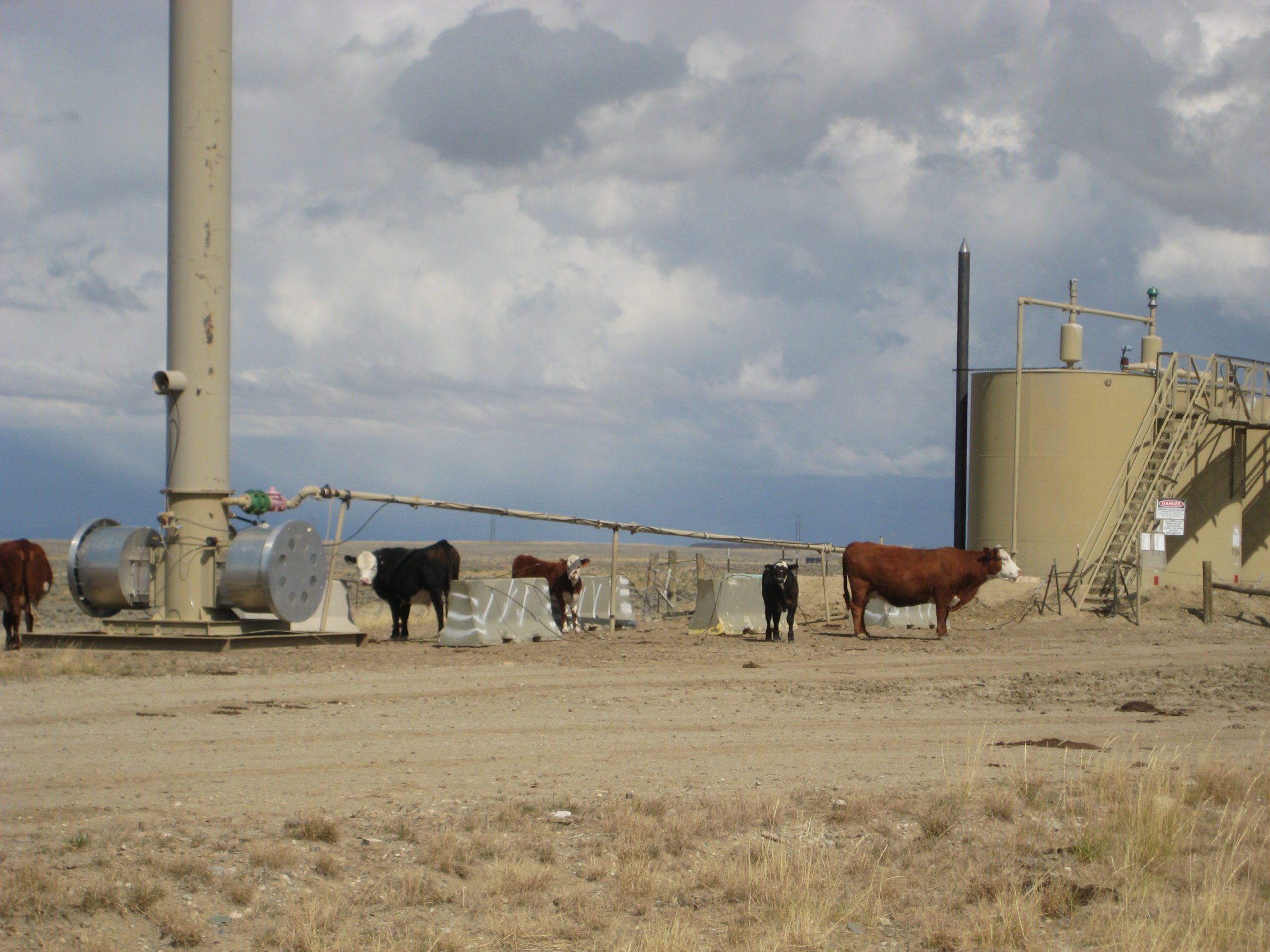 Public Lands Ranching - Western Watersheds Project