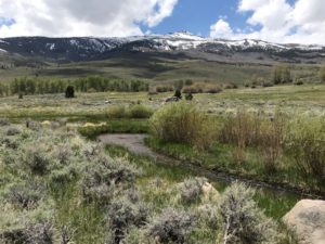 Landscape photo with sagebrush and creek