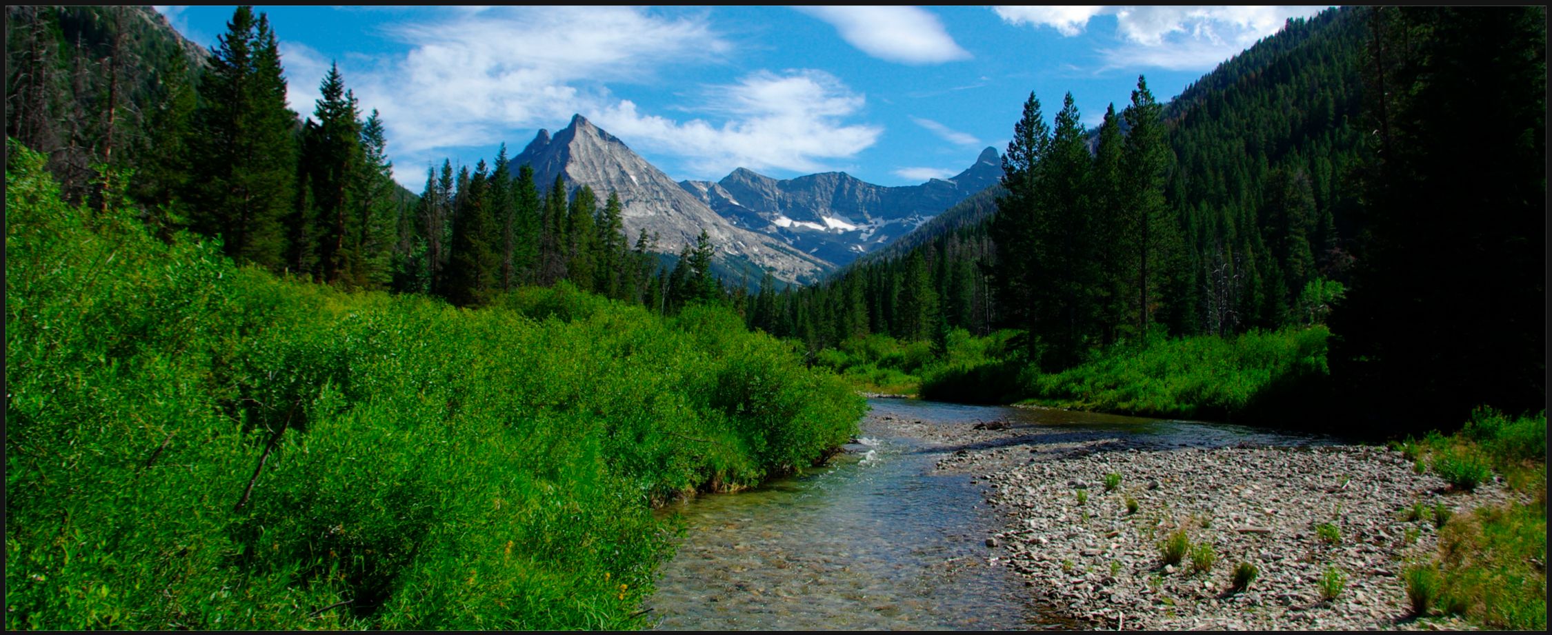 Conservation groups demand strengthening of Conservation Rule to