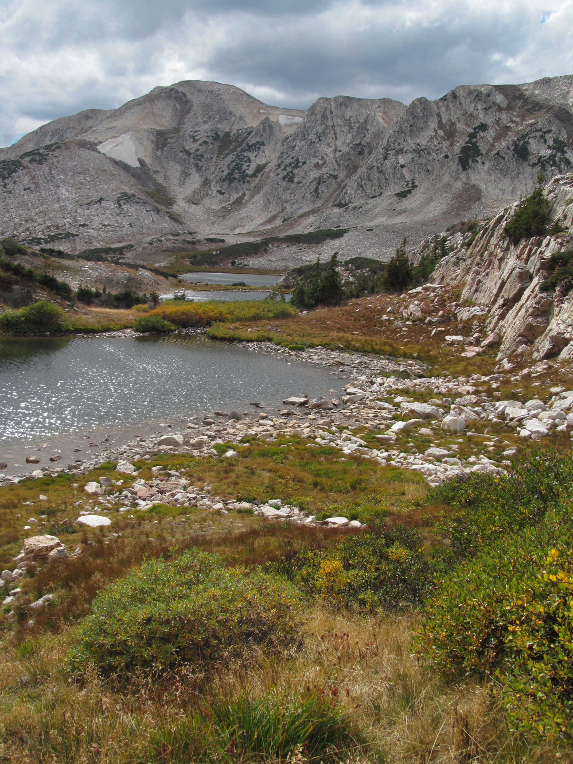 Trump shakeup of U.S. Forest Service garners legal challenge - Western Watersheds Project