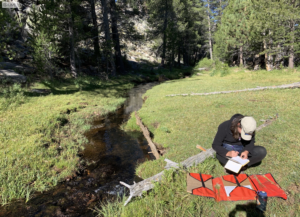 Person sitting on ground writing in notebook next to stream channel at the edge of a meadow